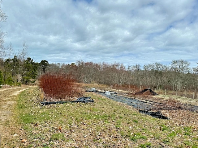 85 Eldridge Rd, Brewster, MA 02631 - view of yard featuring a forest view