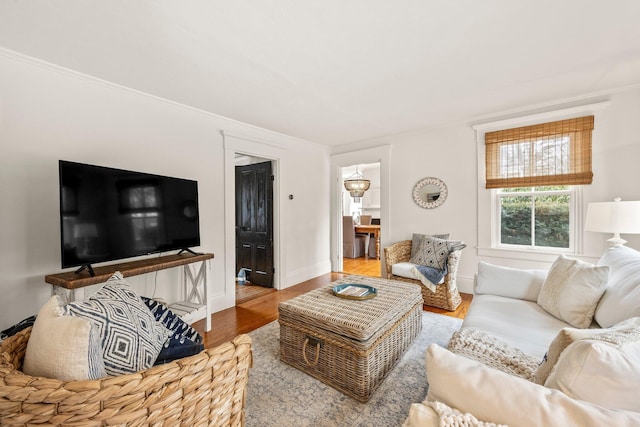 living room featuring hardwood / wood-style floors