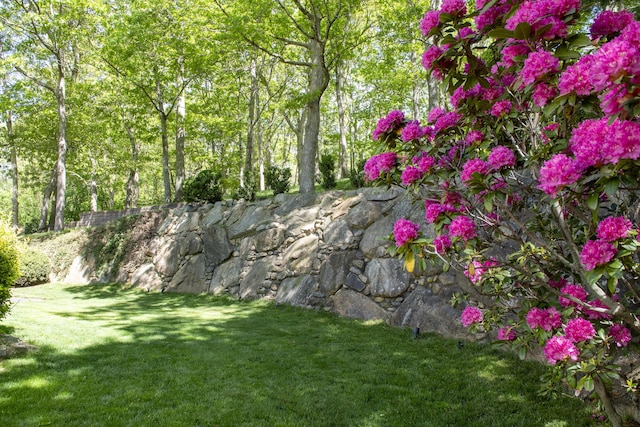 2181 Service Rd, West Barnstable, MA 02668 - view of grassy yard