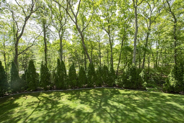 2181 Service Rd, West Barnstable, MA 02668 - view of grassy yard