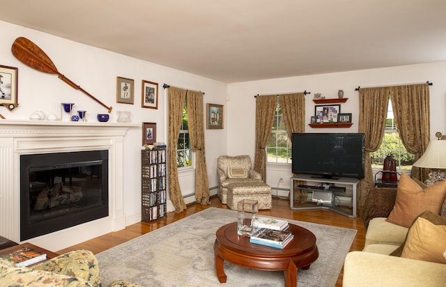 2181 Service Rd, West Barnstable, MA 02668 - living area with baseboard heating, wood finished floors, and a glass covered fireplace