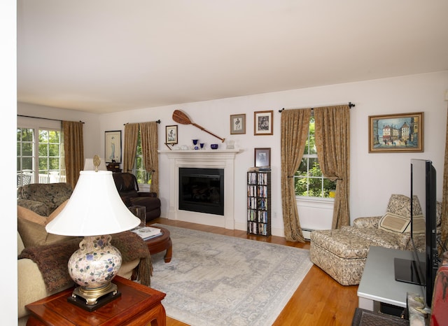 2181 Service Rd, West Barnstable, MA 02668 - living area featuring wood finished floors, a glass covered fireplace, and baseboard heating