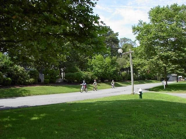 surrounding community featuring a lawn