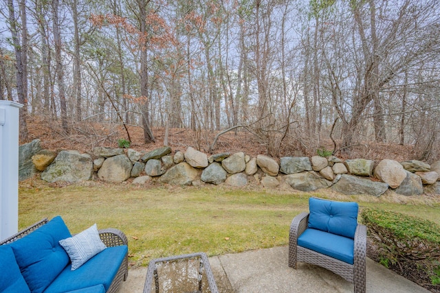 view of yard with a patio area