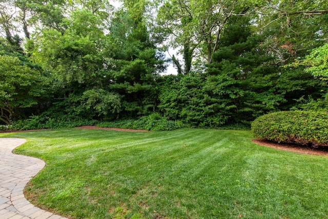 40 Highland Dr, Centerville, MA 02632 - view of green lawn
