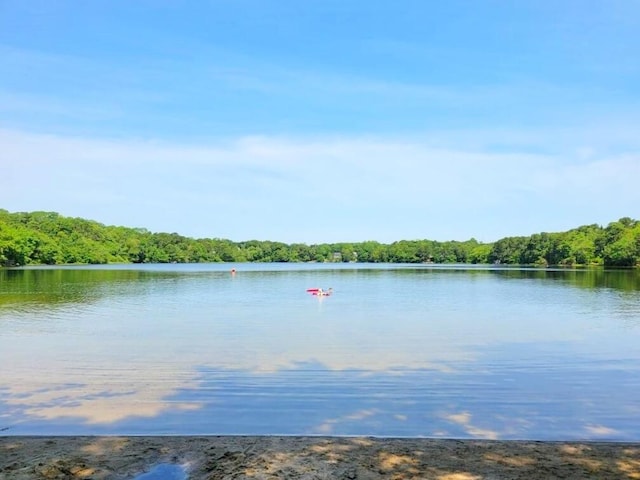 136 Monument Rd, Orleans, MA 02653 - photo 87