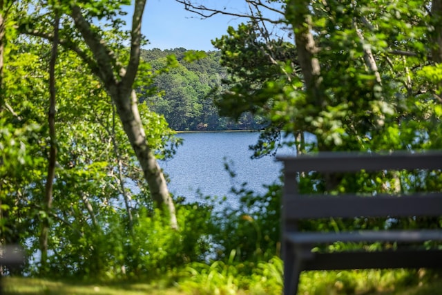 17 Gull Haven Ln, Wellfleet, MA 02667 - water view with a heavily wooded area