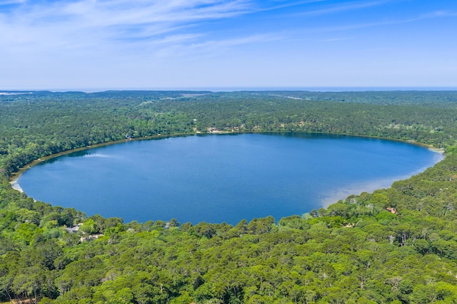 17 Gull Haven Ln, Wellfleet, MA 02667 - bird's eye view of a heavily wooded area and a nearby body of water