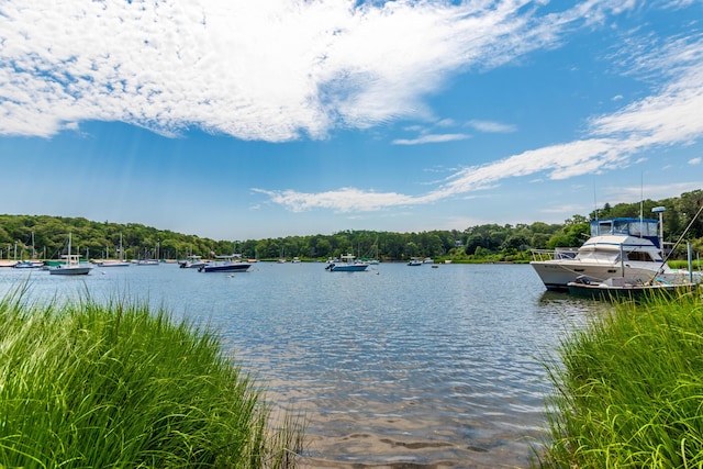 water view with a boat dock