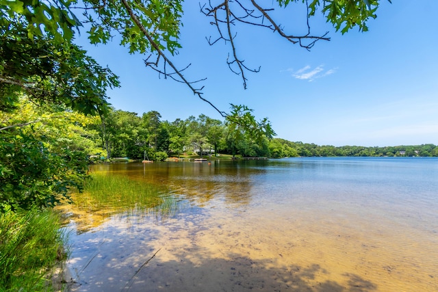 property view of water with a forest view