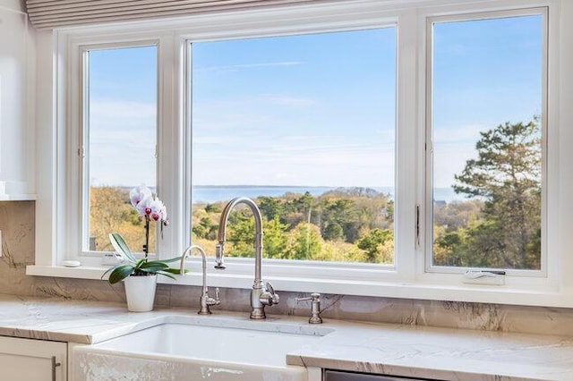 details with white cabinetry, light stone countertops, and a sink
