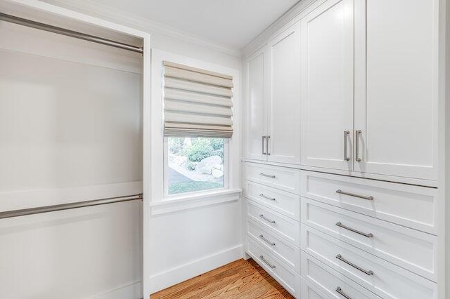 walk in closet with light wood-type flooring