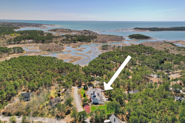 40 Leilla Rich Dr, Wellfleet, MA 02667 - bird's eye view of a large body of water and a forest