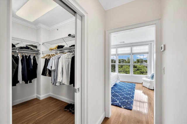 780 Craigville Beach Rd Unit 10, Centerville, MA 02632 - walk in closet with wood finished floors