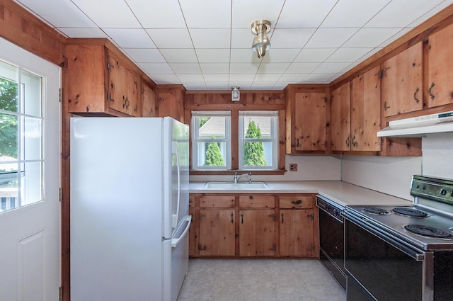 kitchen featuring sink, black dishwasher, white fridge, and electric stove