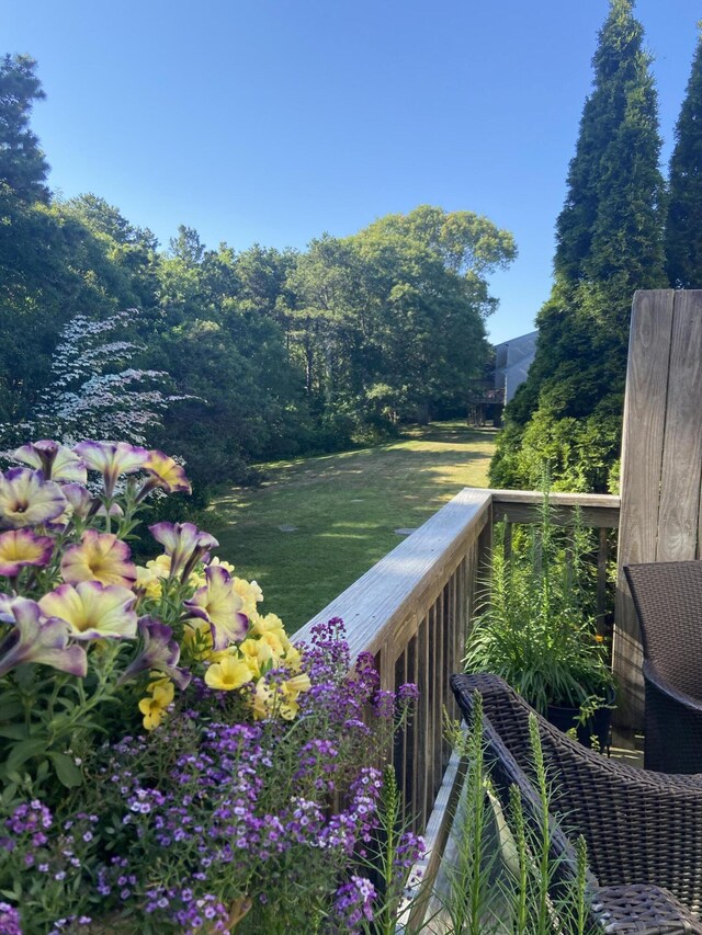 104 Chestnut Cir, Brewster, MA 02631 - view of deck