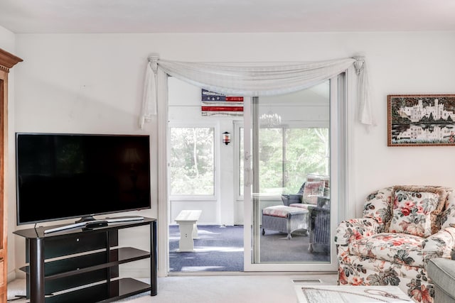 living room featuring carpet flooring