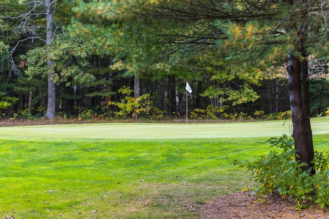 view of property's community featuring a lawn