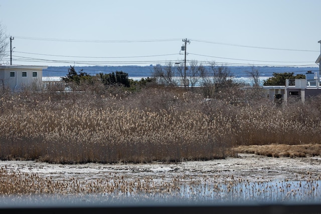 179 Beebe Acres Rd, Falmouth, MA 02540 - view of yard
