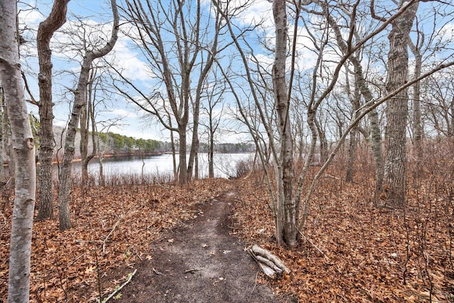 11 Elizabeth Ln, West Yarmouth, MA 02673 - property view of water