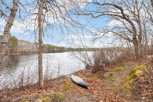 11 Elizabeth Ln, West Yarmouth, MA 02673 - view of water feature