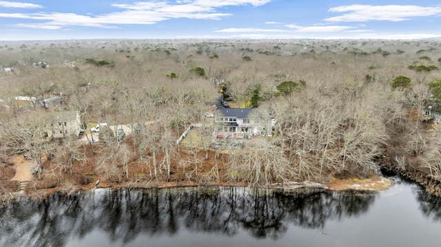 11 Elizabeth Ln, West Yarmouth, MA 02673 - bird's eye view with a forest view and a water view
