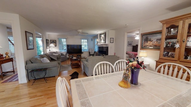 dining space with hardwood / wood-style flooring and ceiling fan