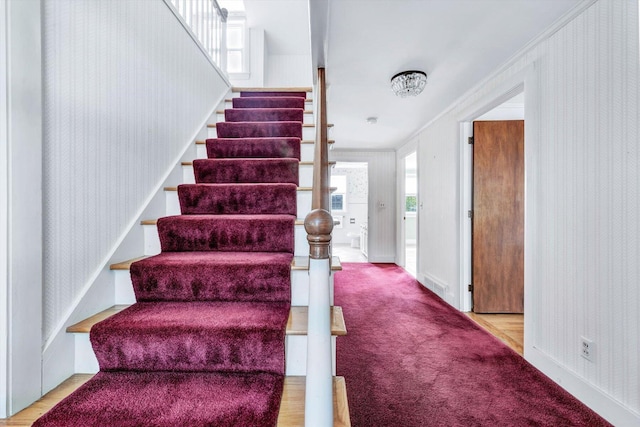 stairs with crown molding and carpet flooring