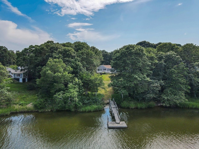 water view with a dock