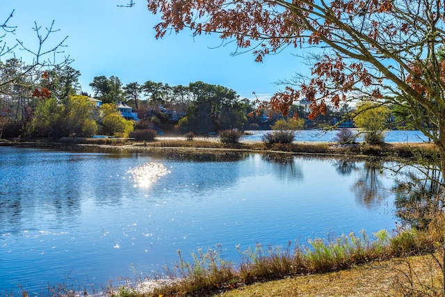 38 Rainbow Way, Harwich, MA 02645 - water view