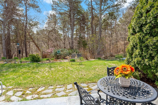 view of yard with a patio area