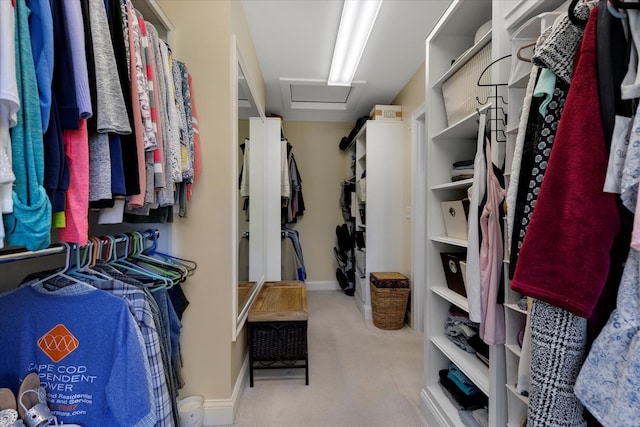101 Pheasant Hill Cir, Cotuit, MA 02635 - spacious closet featuring carpet flooring and attic access