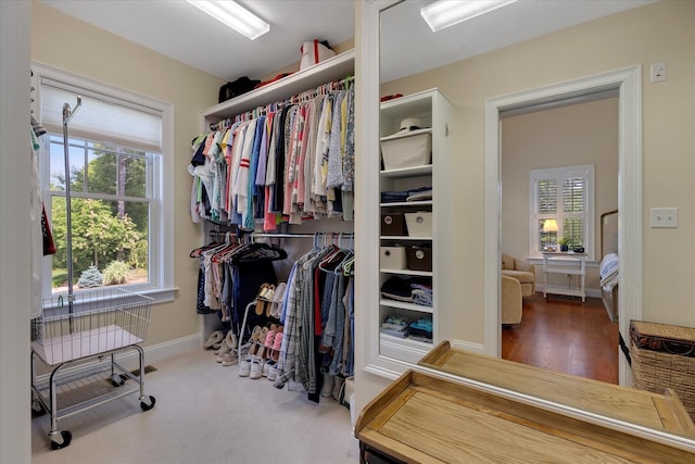 101 Pheasant Hill Cir, Cotuit, MA 02635 - view of walk in closet