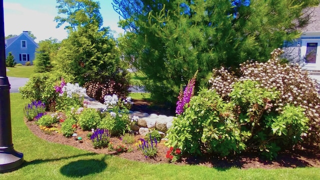 101 Pheasant Hill Cir, Cotuit, MA 02635 - view of green lawn
