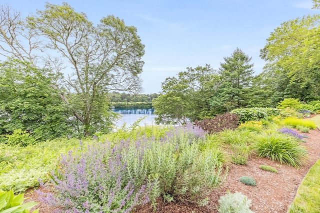 35 Hidden Ln, Osterville, MA 02655 - photo 54