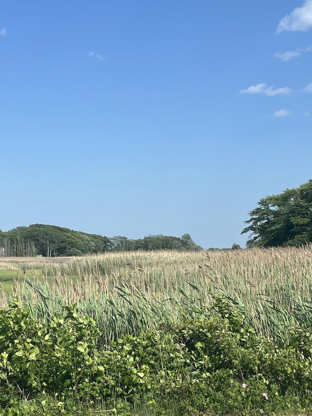 12 Pine Ter, East Sandwich, MA 02537 - view of mountain background