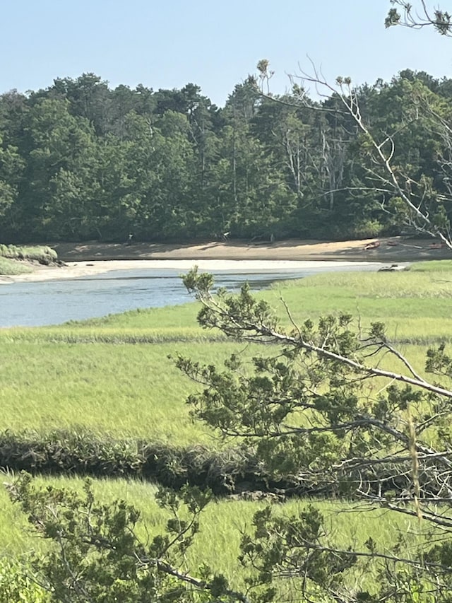 12 Pine Ter, East Sandwich, MA 02537 - view of yard with a water view