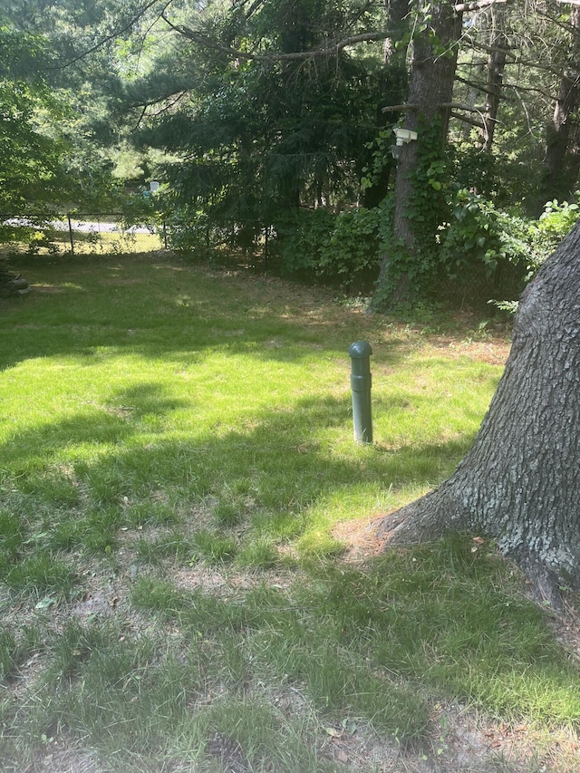 12 Pine Ter, East Sandwich, MA 02537 - view of green lawn