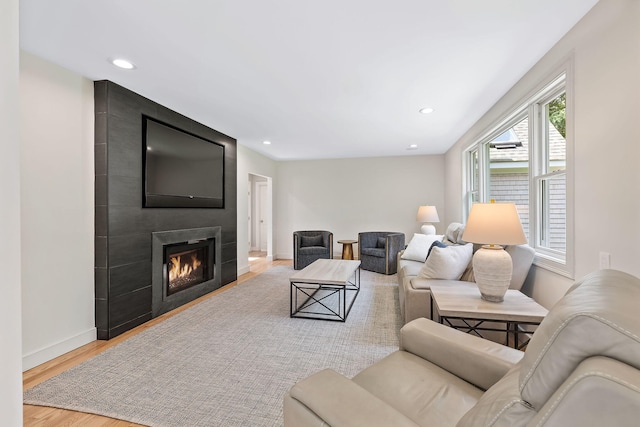 living room featuring a fireplace and light hardwood / wood-style flooring