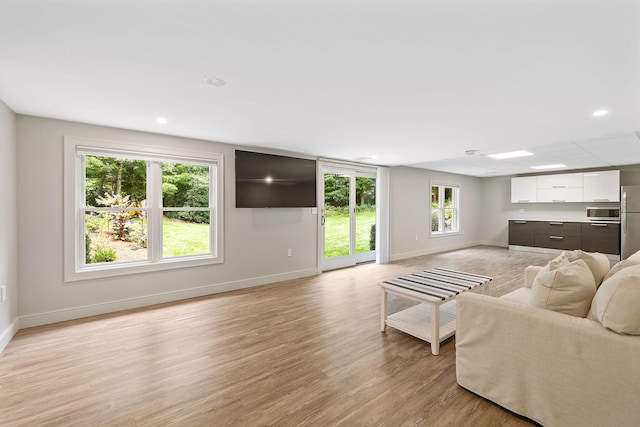 living room with light wood-type flooring