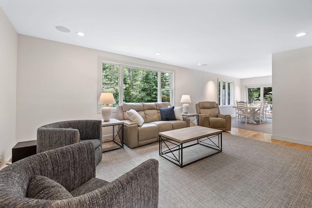 living room featuring light wood-type flooring