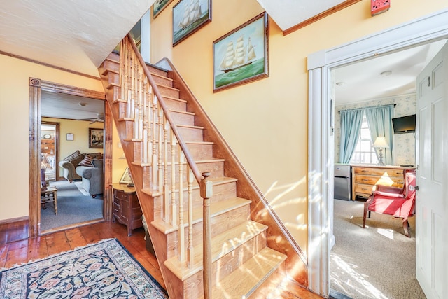 stairs with hardwood / wood-style flooring and crown molding