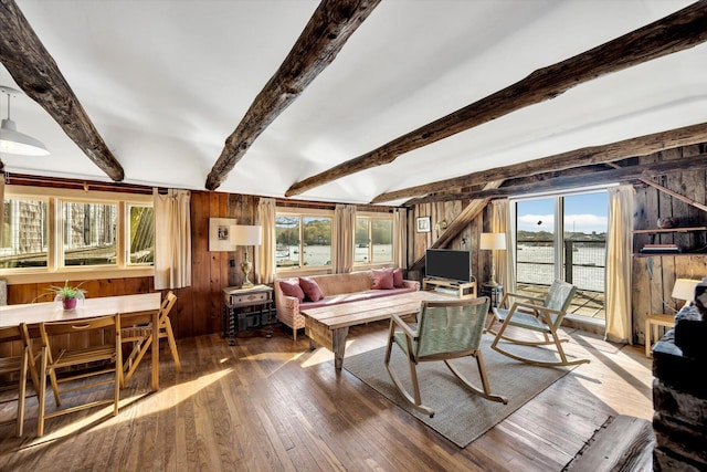 dining room with wooden walls, wood-type flooring, and beam ceiling