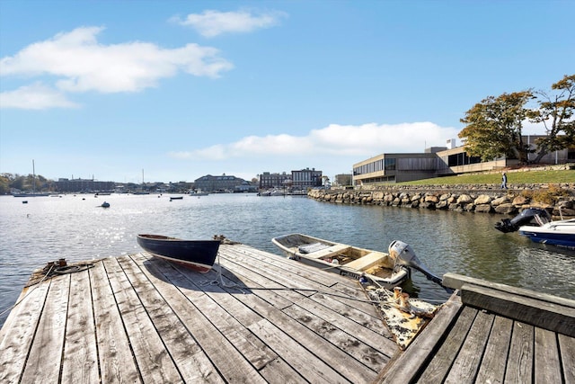 dock area with a water view