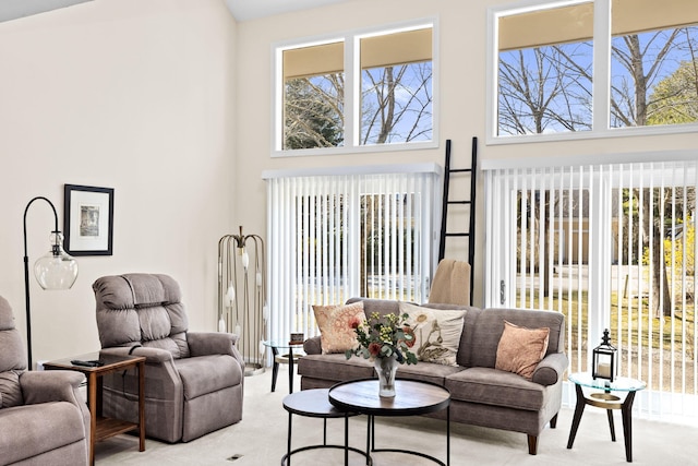 39 Fox Run Ln, East Falmouth, MA 02536 - living room featuring a high ceiling and carpet floors