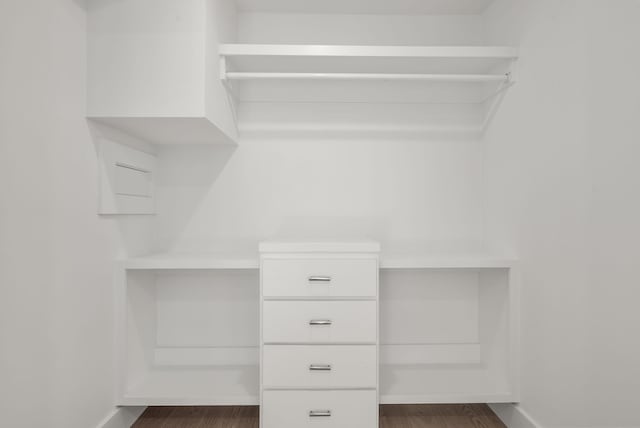 spacious closet featuring dark wood finished floors