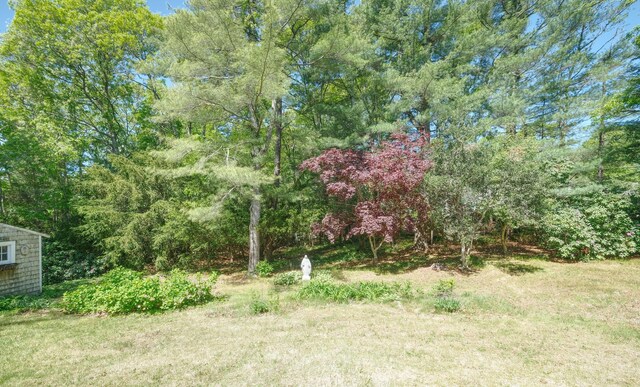 175 Knotty Pine Ln, Centerville, MA 02632 - photo 59
