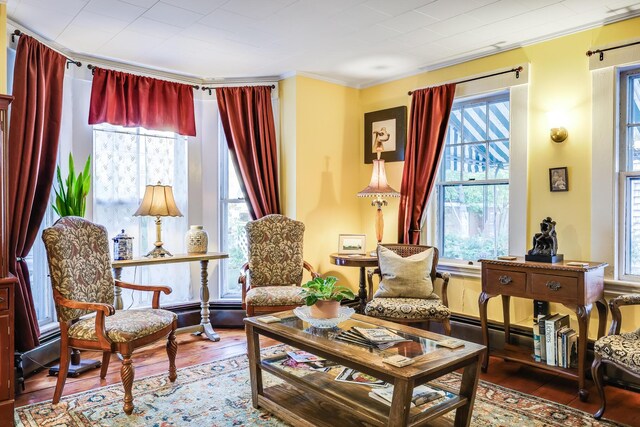 sitting room featuring hardwood / wood-style flooring, a healthy amount of sunlight, and ornamental molding