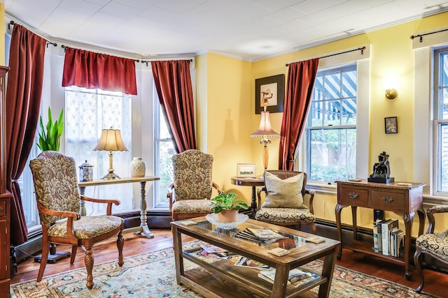 6 Winslow St, Provincetown, MA 02657 - sitting room featuring hardwood / wood-style flooring, a healthy amount of sunlight, and ornamental molding
