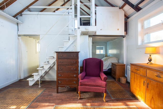 living area featuring plenty of natural light, dark hardwood / wood-style floors, and vaulted ceiling